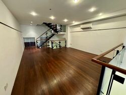 Emerald Hill Conservation Area (D9), Terrace #496535741